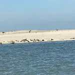 Strandnahes-ferienhaus-nessmersiel Neßmersiel