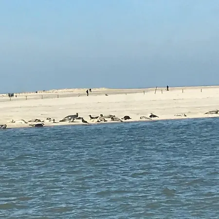 Strandnahes-ferienhaus-nessmersiel Несмерзиль