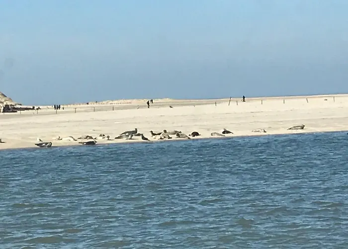 Strandnahes-ferienhaus-nessmersiel 度假居 Neßmersiel